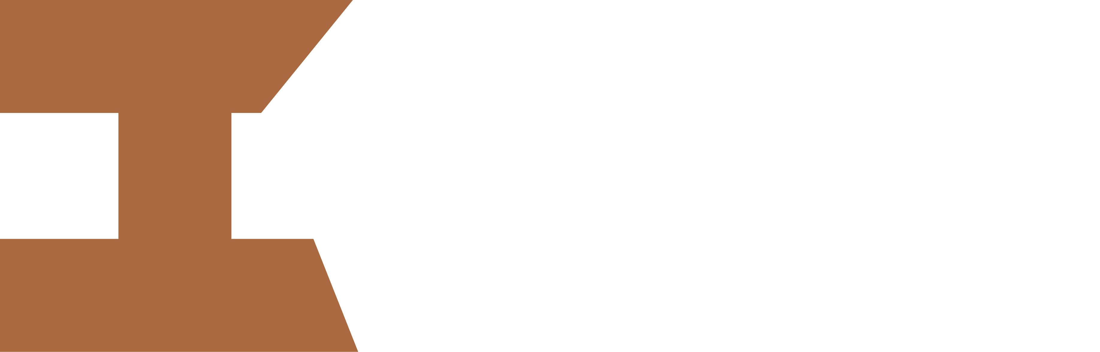 IVRE logo horizontal White Rust